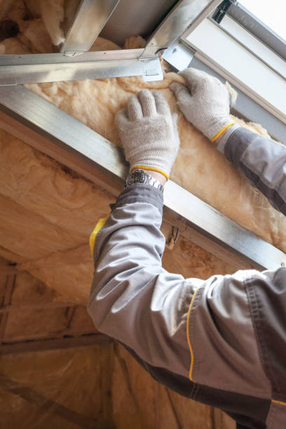 Best Residential Insulation Services  in Pike Creek Valley, DE